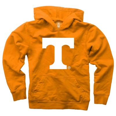 Tennessee Youth Hood Primary Logo