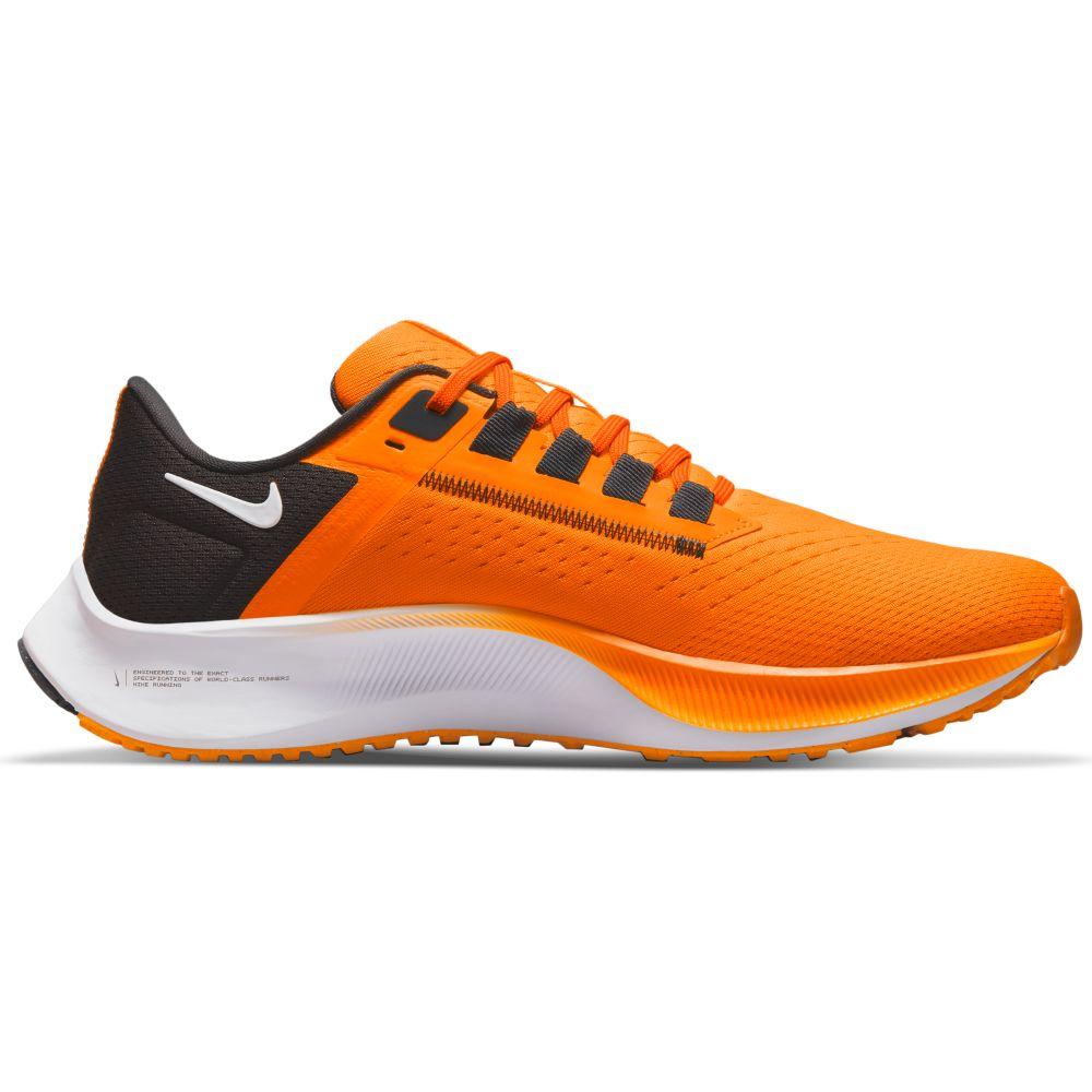 tennessee pegasus 38